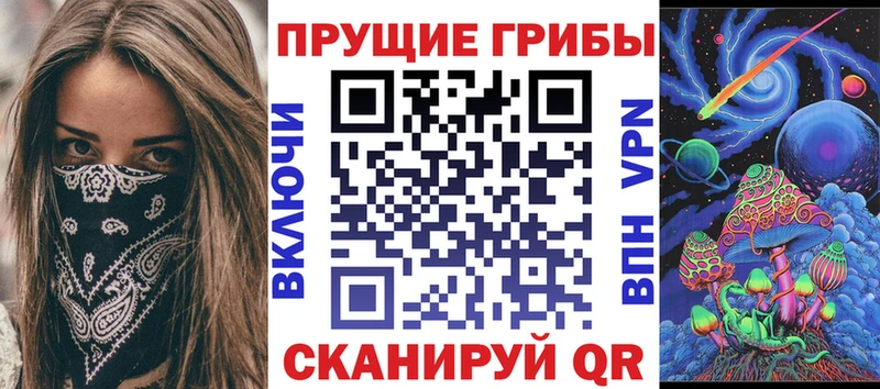 Галлюциногенные грибы Cubensis  закладки  Саяногорск 